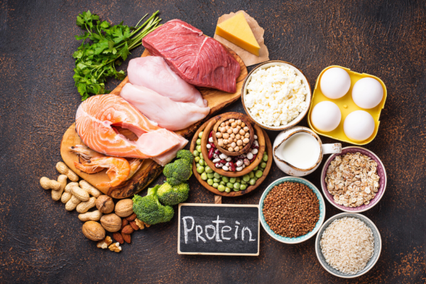 high-protein total diet replacements