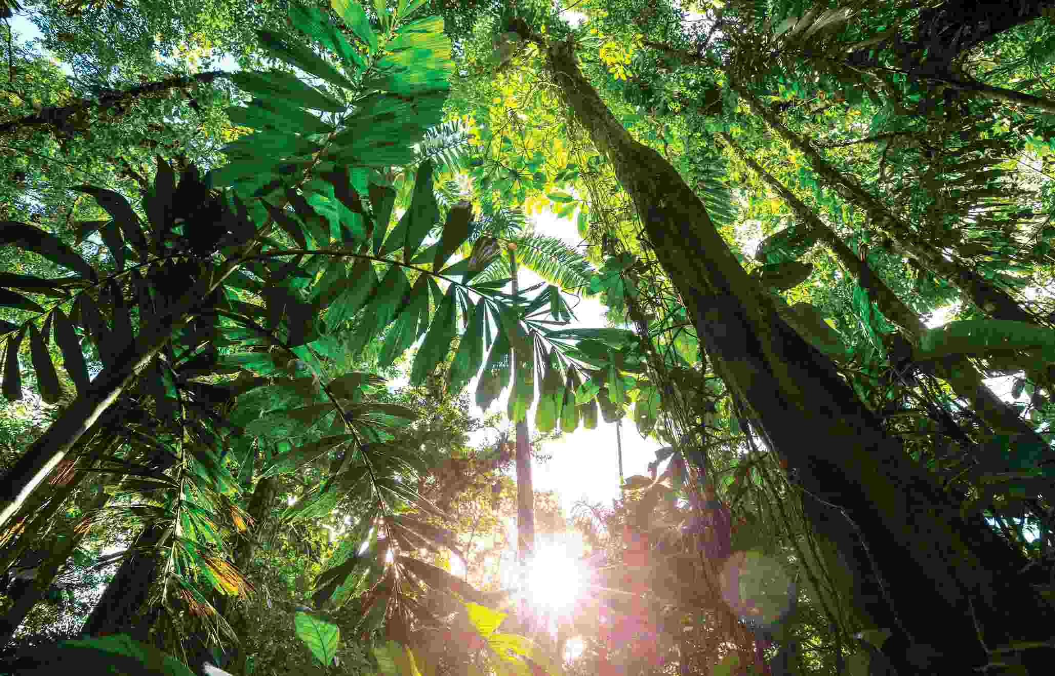 HOW CAN I CUT BACK ON MY CARBON EMISSIONS? – Tropic Skincare