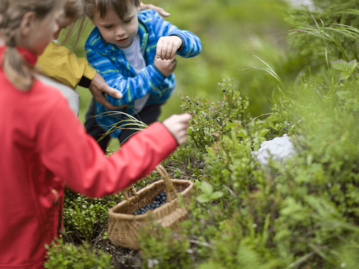 Foraging for Fun and Nutrition