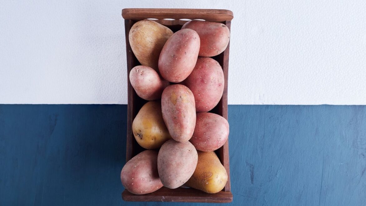 Japanese Sweet Potatoes Varieties