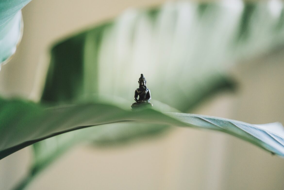 samuel-austin-0tTA6cewPr8-unsplash health coach software