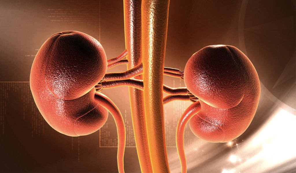 Why does Kidney Disease Cause Weight Gain?