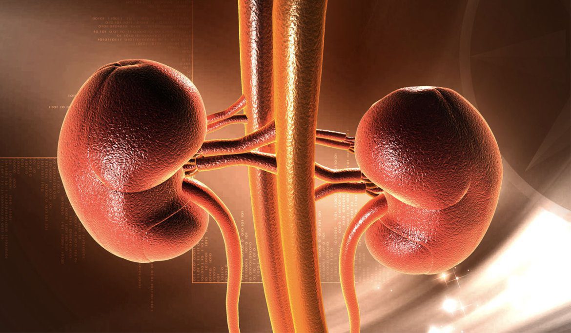 Kidney Disease Cause Weight Loss