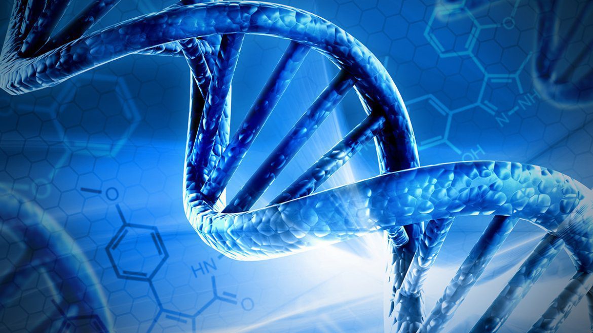 Testing For Weight Loss Work Does Dna Testing For Weight Loss Work