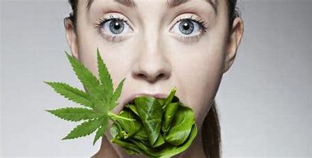 Which Weed Helps With Weight Loss- Weekly wellness tips and updates?