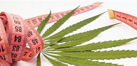 Which Weed Helps With Weight Loss