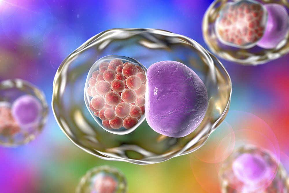 Can Chlamydia Cause Weight Loss