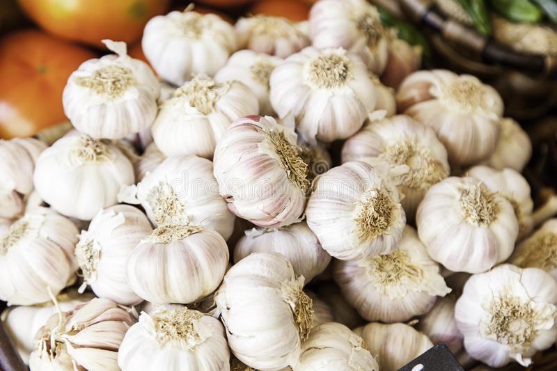 Does Garlic Help In Weight Loss